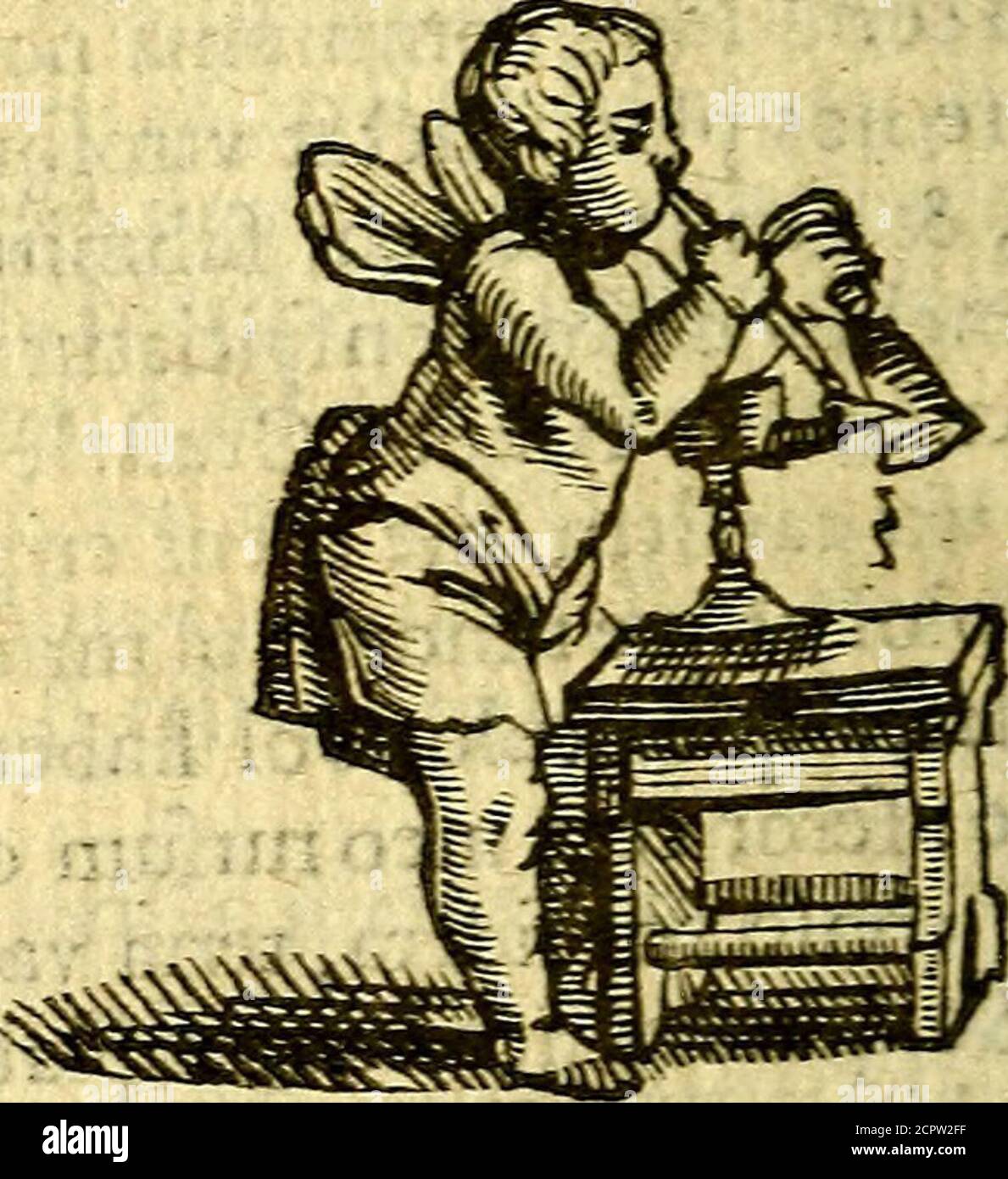 Communia High Resolution Stock Photography And Images Alamy