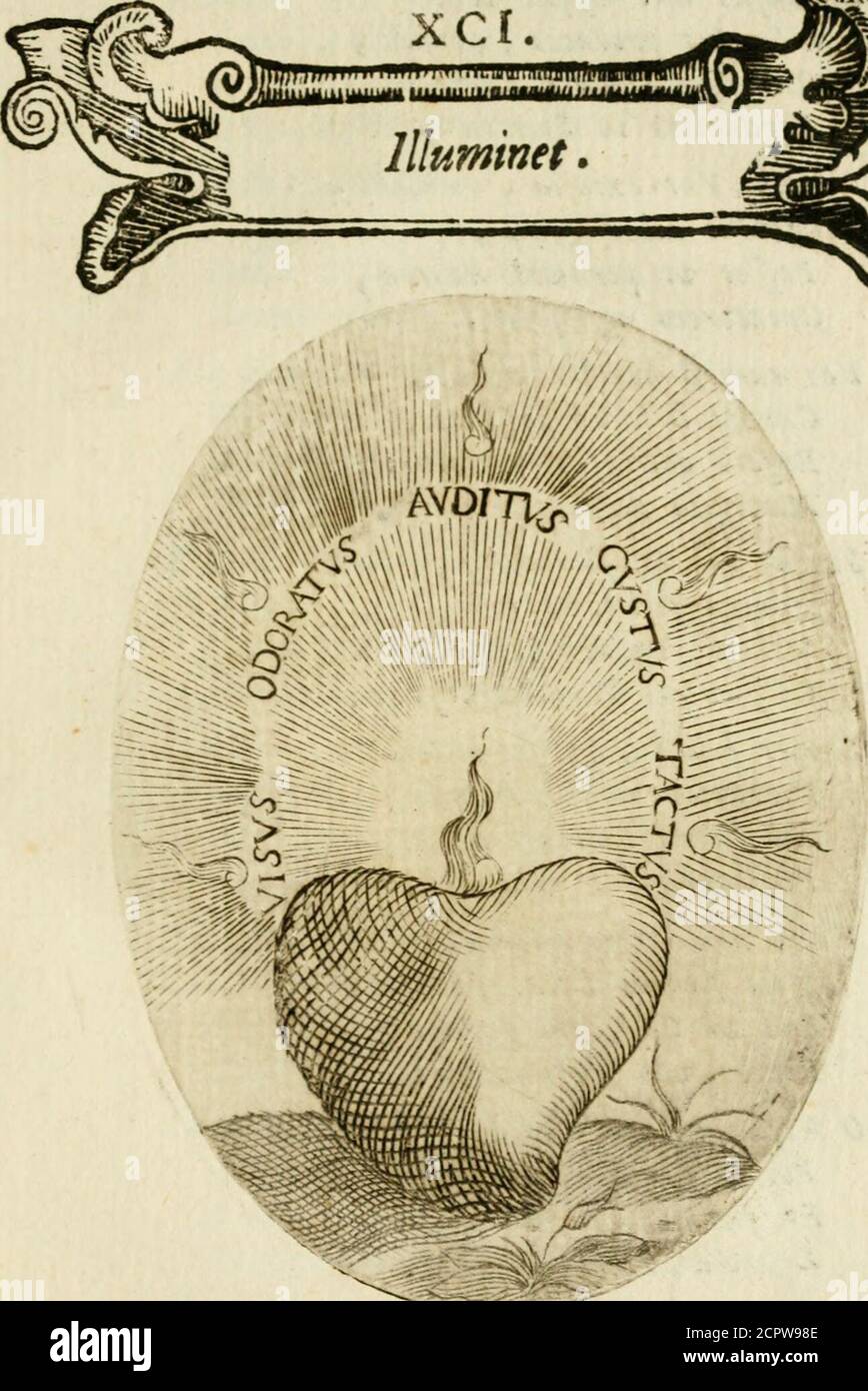 Francisci Ponae Cardiomorphoseos siue Ex corde desumpta