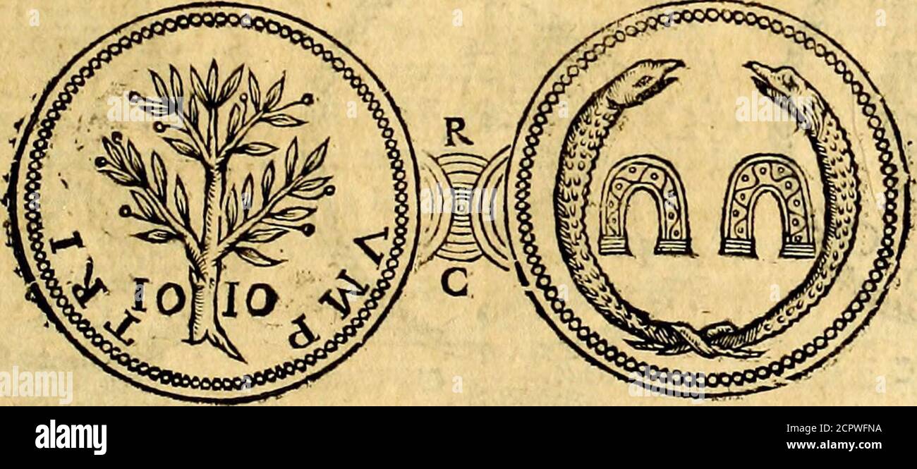 Page 10 - O° Ai High Resolution Stock Photography and Images ...