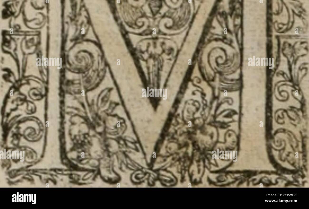 Verta Farting