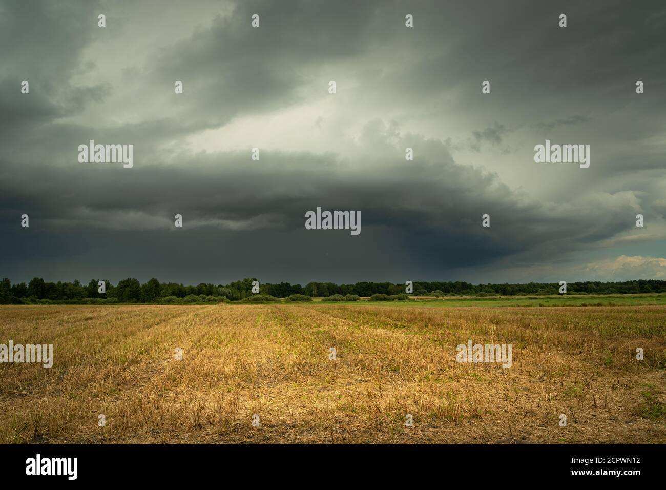 Dark stormy cloud over the field, summer day Stock Photo - Alamy