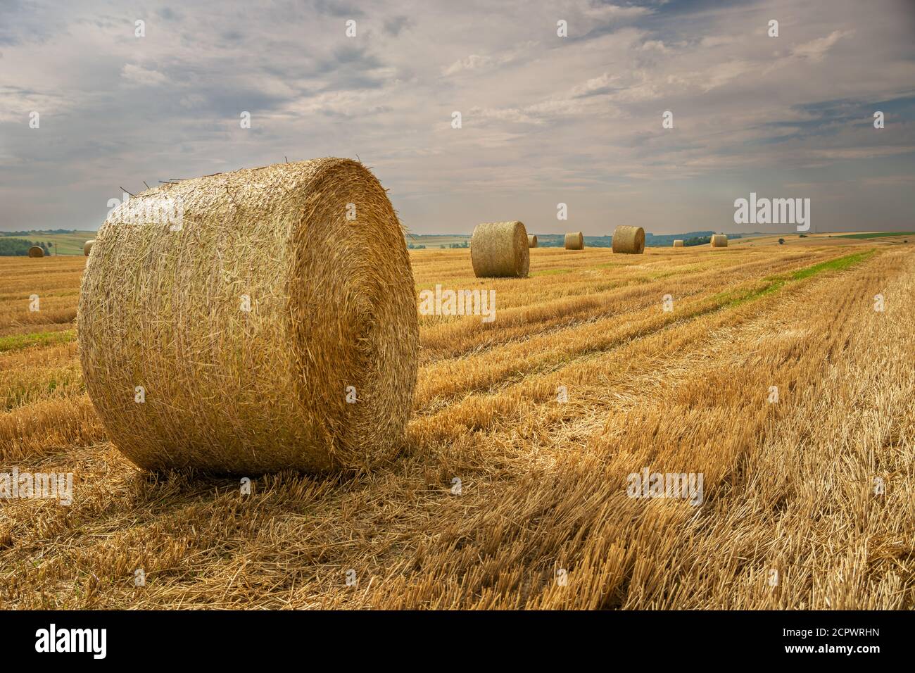 Round hay bales in the field and cloudy sky Stock Photo - Alamy