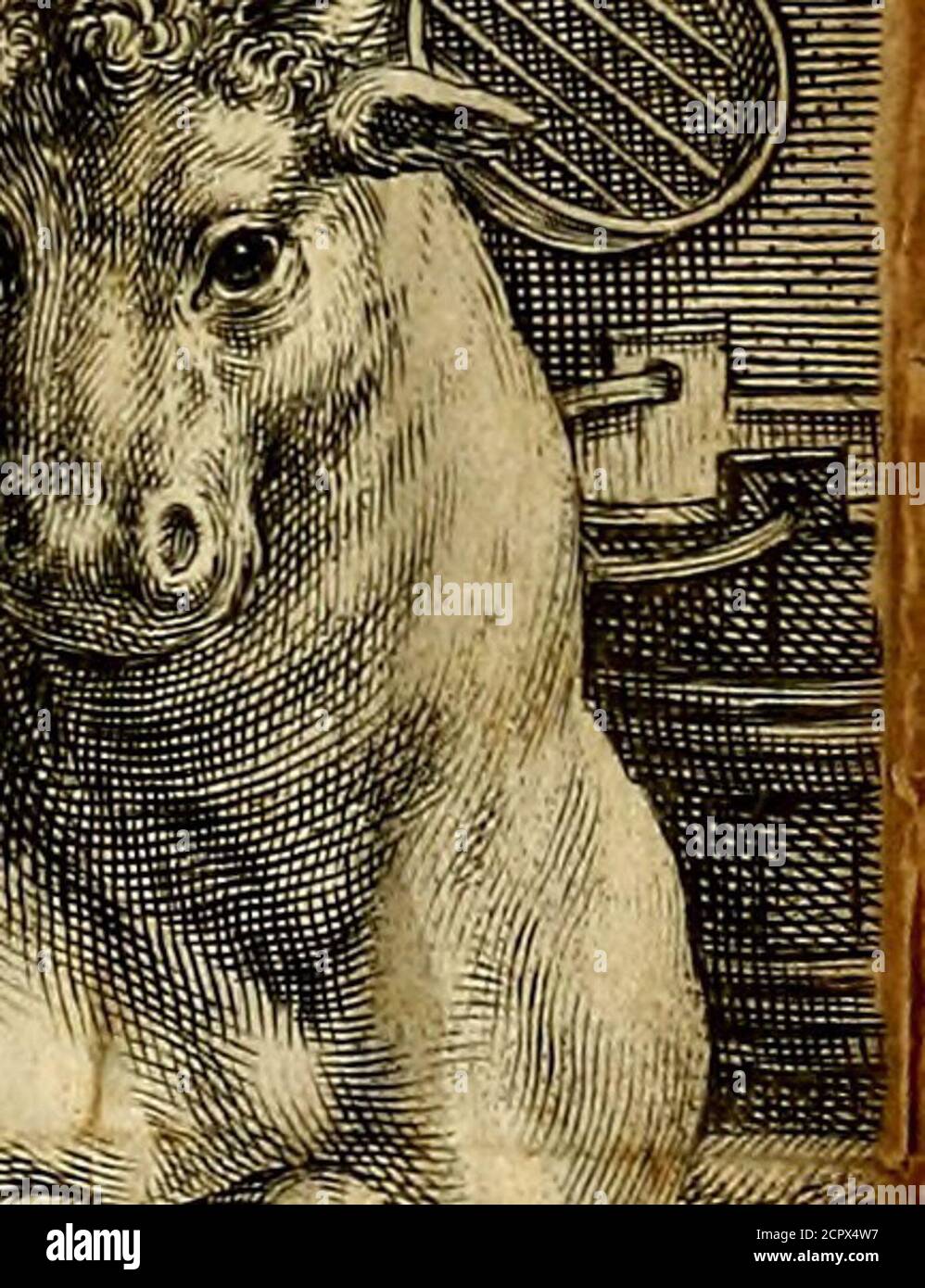 Page 2 Meye High Resolution Stock Photography And Images Alamy