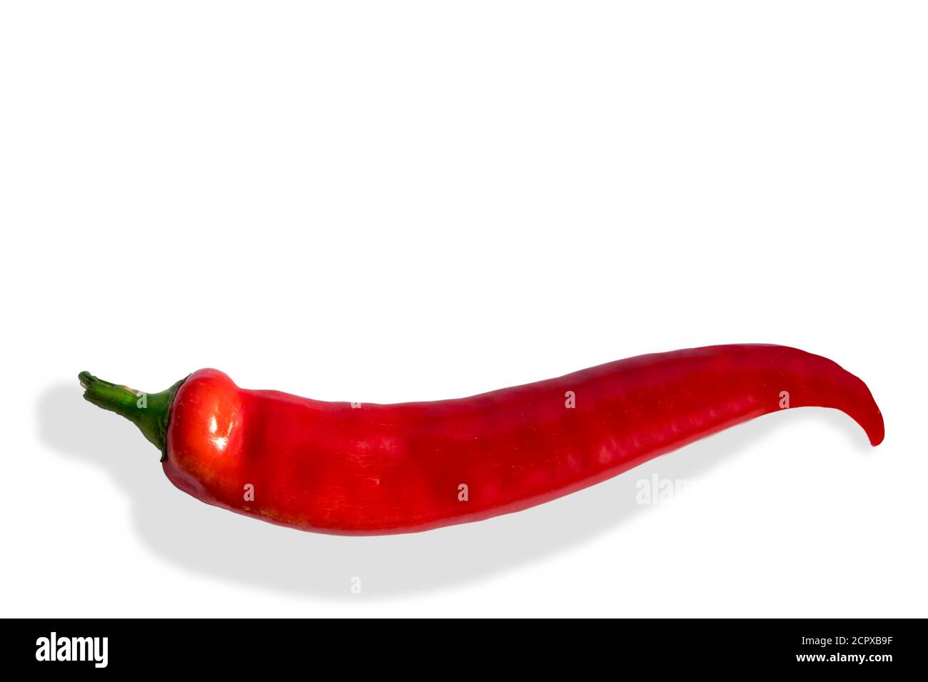 Chili pepper on a white isolated background close-up. Space for text Stock Photo