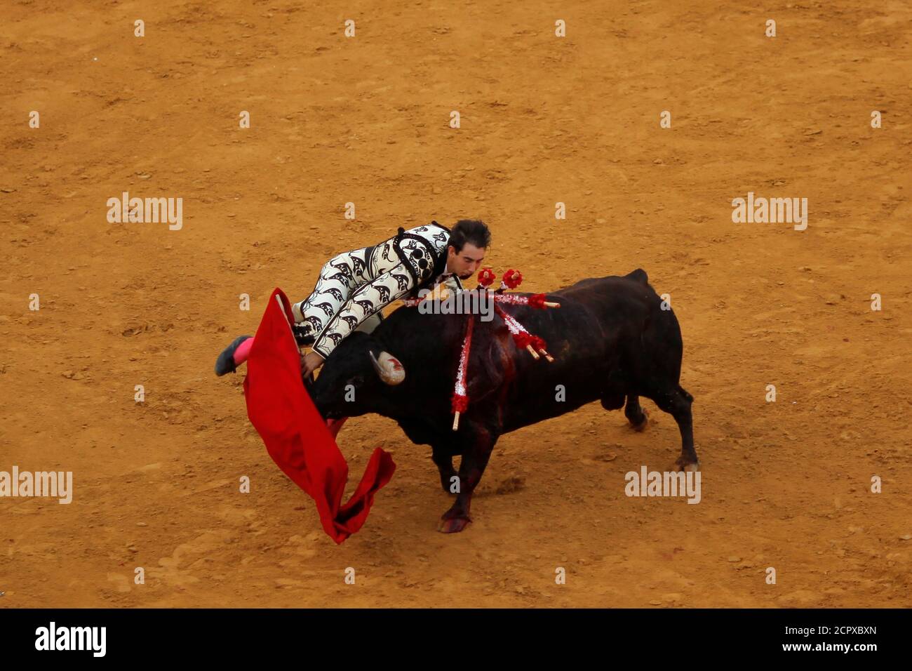 Spanish bullfighter saul jimenez fortes hi-res stock photography and ...