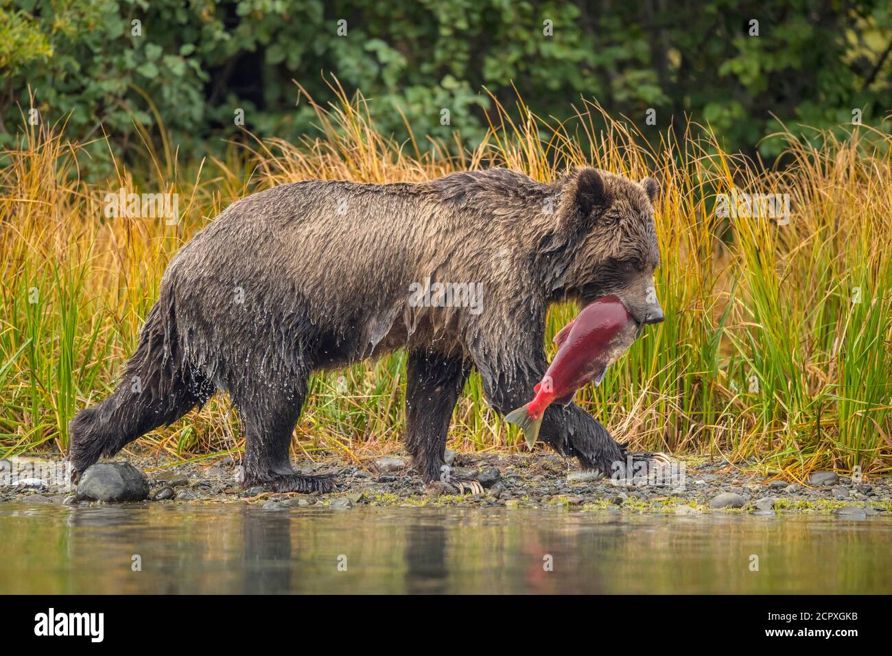 sandy-salmon938: a hunter girl with long black hair and golden