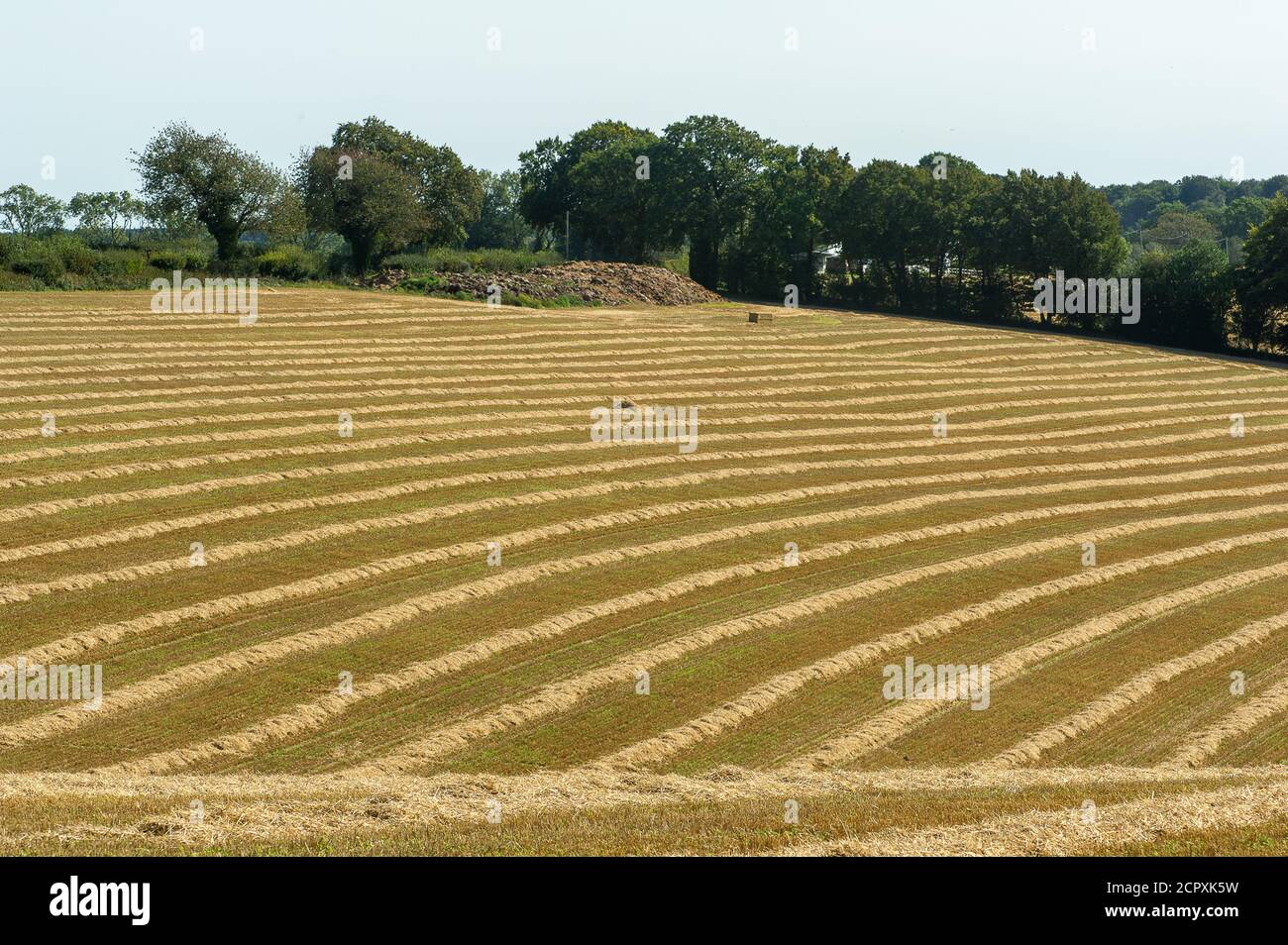 Wendover Dean, Aylesbury Vale, Buckinghamshire, UK. 13th September