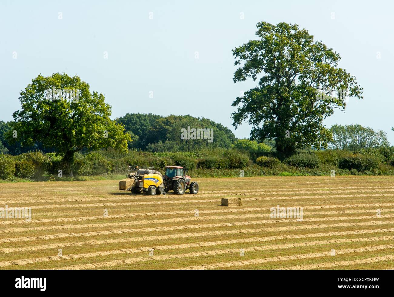 Wendover Dean, Aylesbury Vale, Buckinghamshire, UK. 13th September
