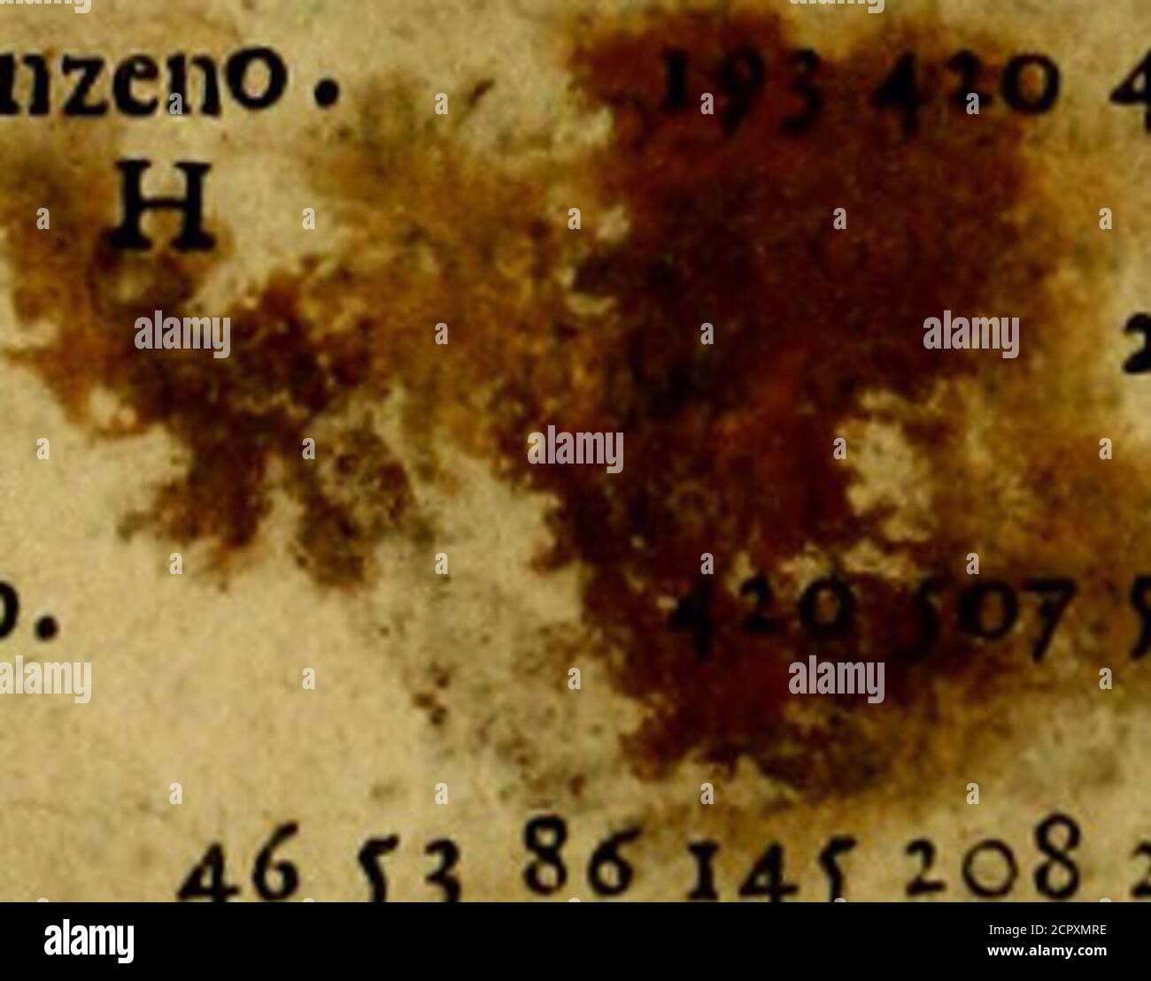 sac transparent irisé