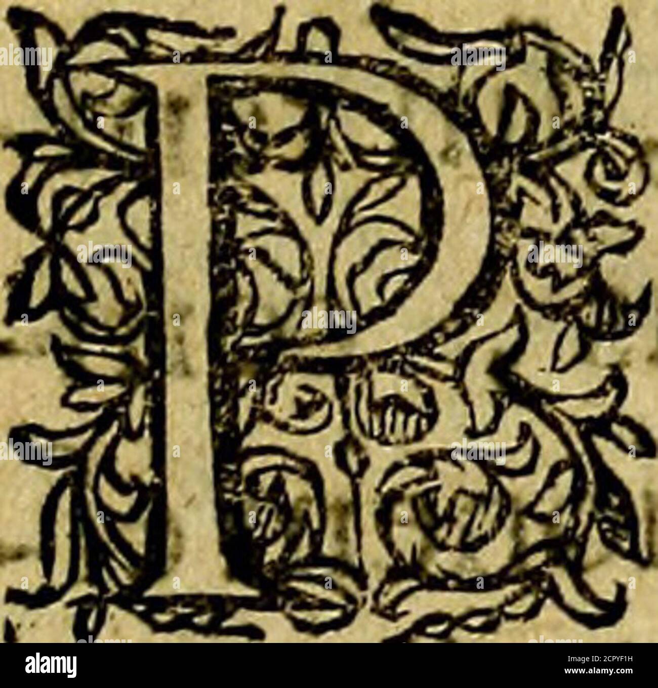 Deorvm Dearvmqve Capita Ex Antiquis Numismatibus Abrahami Ortelii Collecta Et Historica Narratione Illustrata A Francisco Sweertio