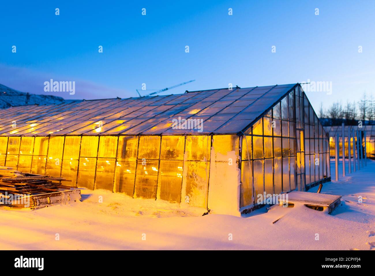 Industrial greenhouses for growing plants in winter Stock Photo Alamy