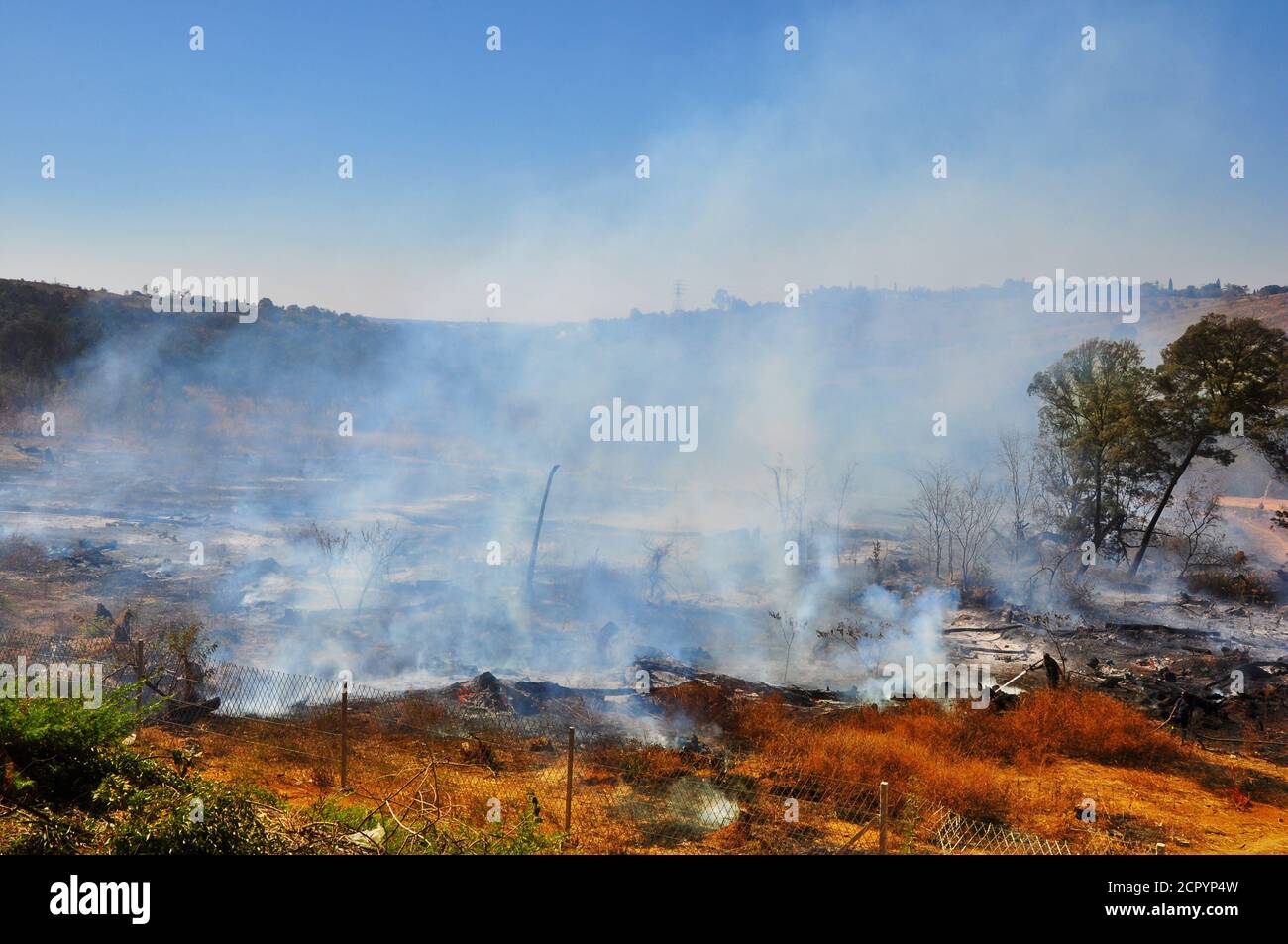 Bushfire of natural cause, South Africa Gauteng Province Stock Photo