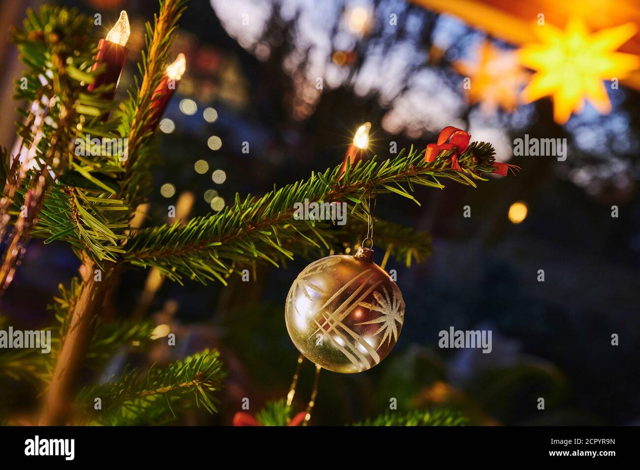 Christmas, Christmas custom, Christmas tree, fir branch, poinsettia, tree candles, dusk, blue hour, color contrast Stock Photo