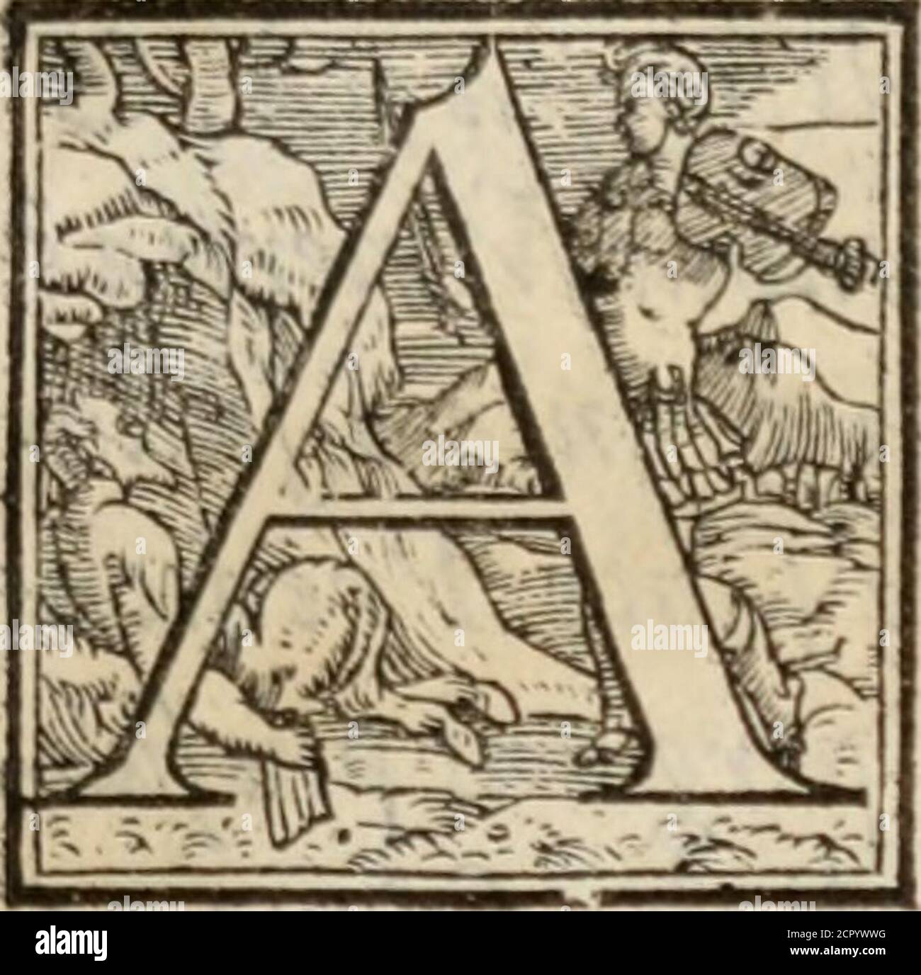 Page 3 Chia 2 High Resolution Stock Photography And Images Alamy