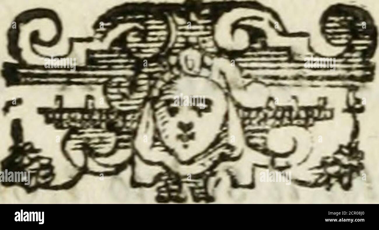 5 2 D High Resolution Stock Photography And Images Page 140 Alamy