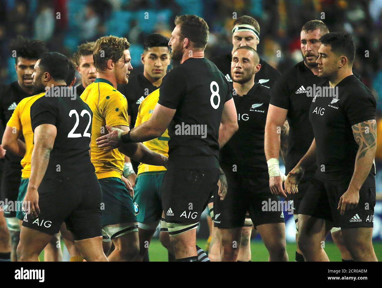 Australian Wallabies Rugby Union Captain High Resolution Photography Images - Alamy