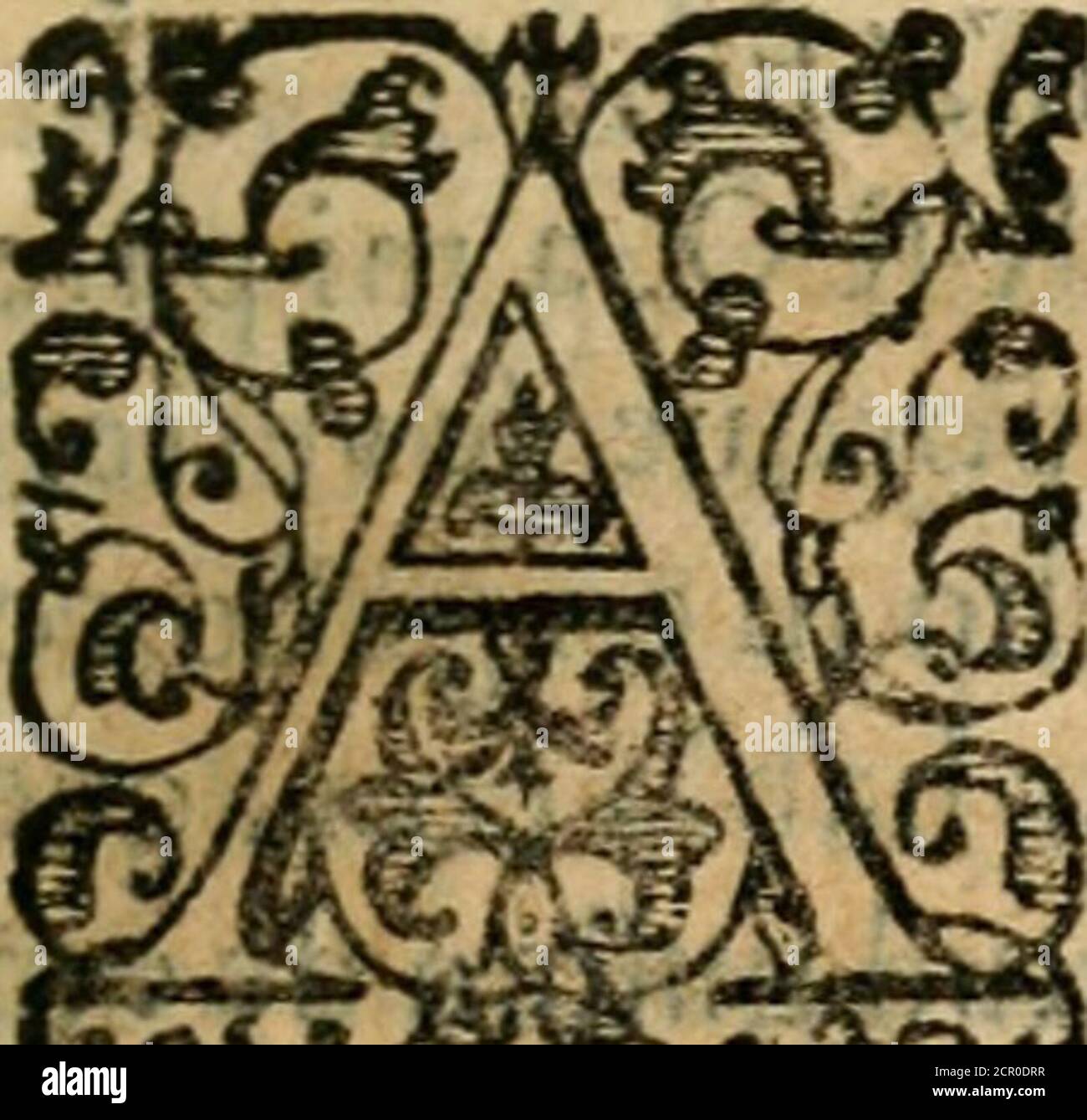 Los emblemas hi-res stock photography and images - Page 9 - Alamy