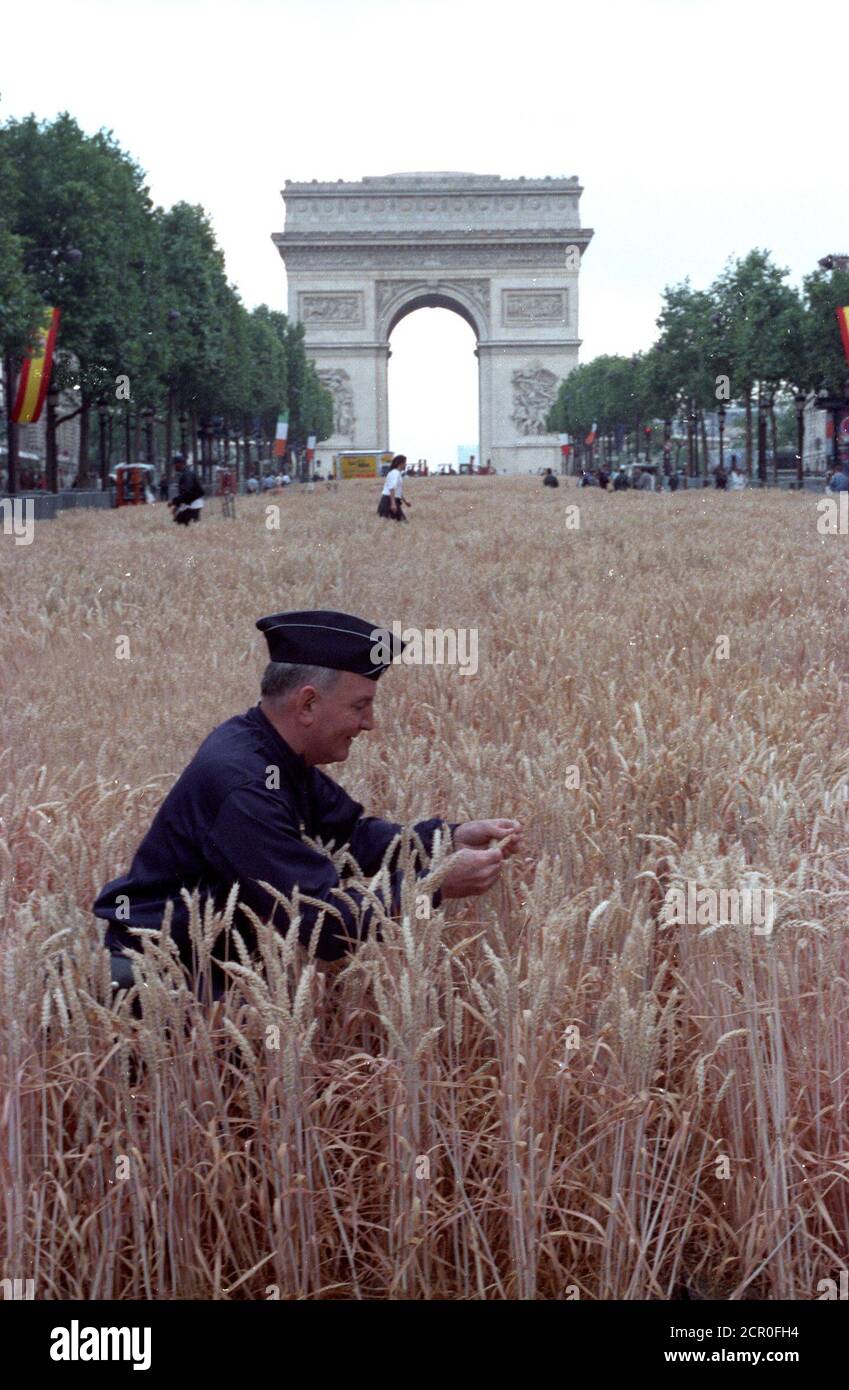 A French Policeman kneels in a weat field cultivated in wooden trays and laid across the Champs Elysees, in Paris June 24, 1990. The field has been used to promote young agriculturists in France and will be harvested tonight. SCANNED FROM NEGATIVE. REUTERS/Philippe Wojazer  PN/CMC Stock Photo