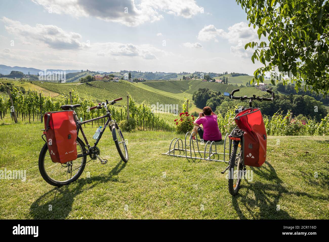 Wine bike sales
