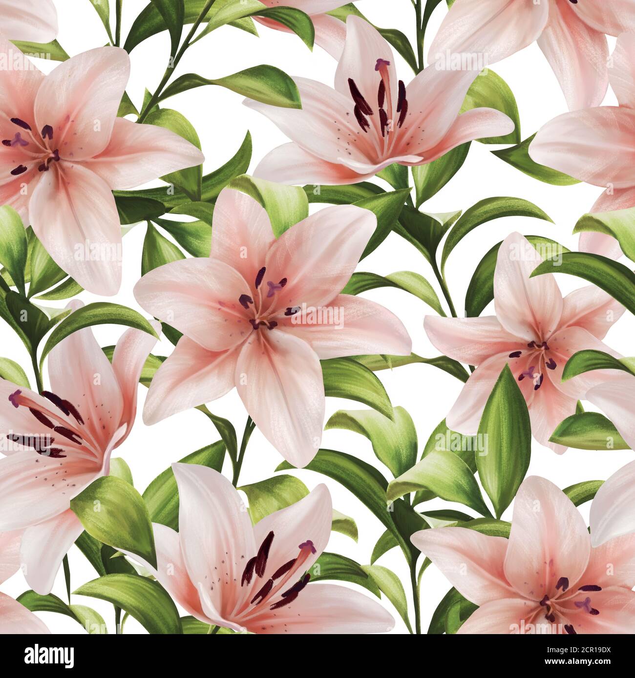 Beautiful seamless pattern with pink lilies flowers Stock Photo - Alamy