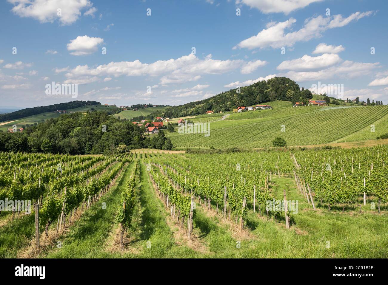 Landscape on the South Styrian Wine Route, view towards Ratsch an der ...