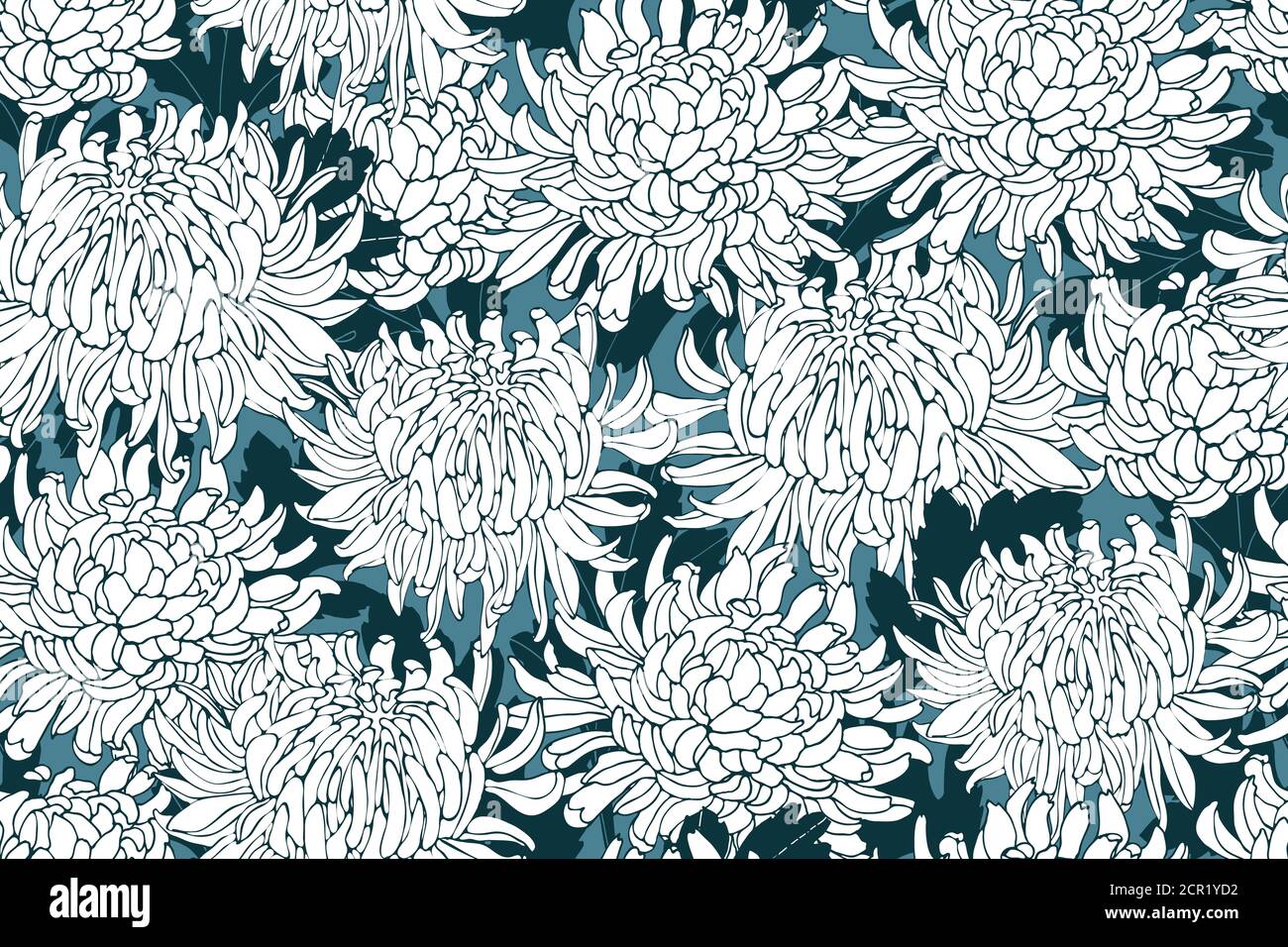 Vector floral seamless pattern with chrysanthemums. White flowers. Stock Vector