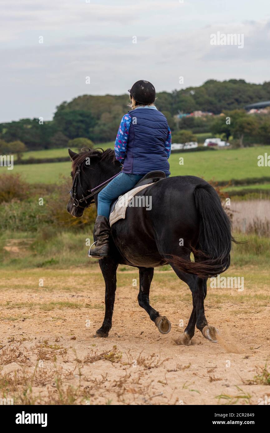 an older lady or woman female riding a large black horse along a beach on the isle of wight. Stock Photo