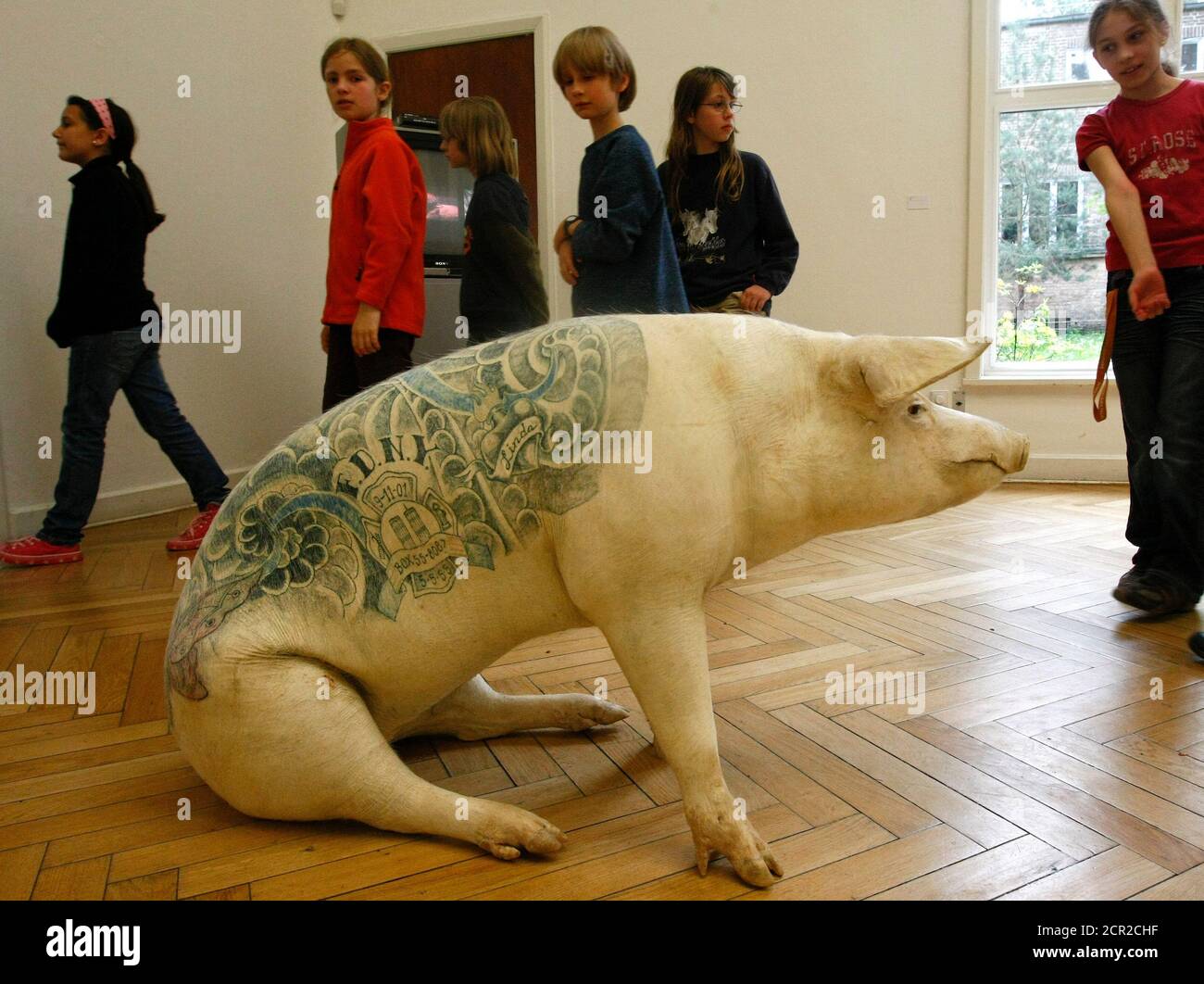 Children watch the artwork 'Linda' by Belgian artist Wim Delvoye of a stuffed pig at the 'Tierperspektiven' (animal perspective) exhibition inside the Georg-Kolbe Museum in Berlin May 8, 2009.    REUTERS/Fabrizio Bensch (GERMANY SOCIETY ENTERTAINMENT) Stock Photo