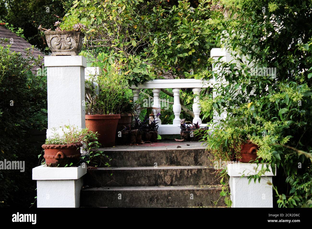 white and gray cement steps surrounded by greenery Stock Photo