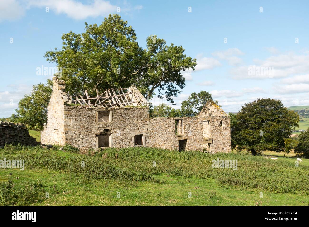 A derelict farm building in Weardale, above Wolsingham, in Co. Durham, England, UK Stock Photo