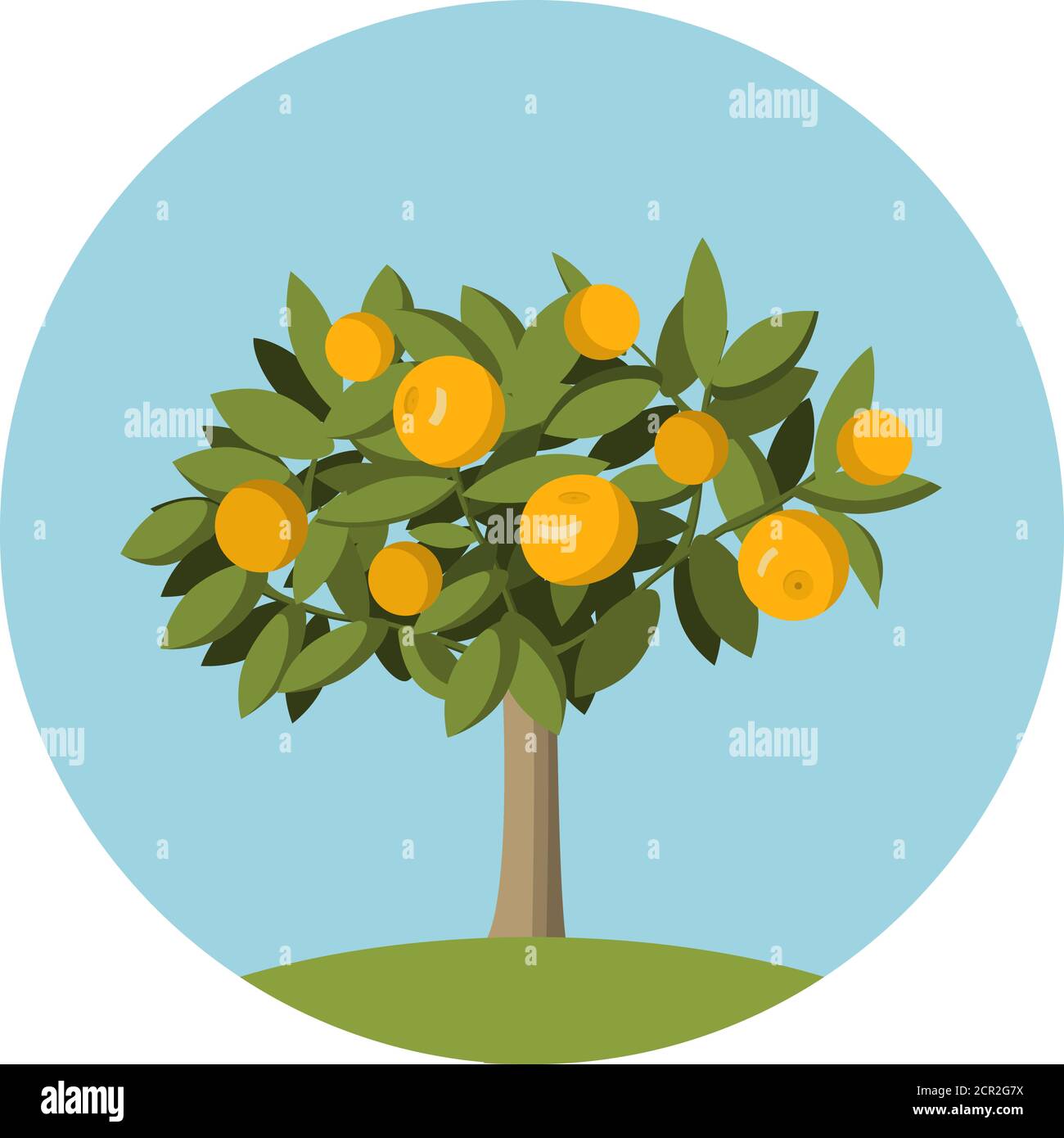 Orange fruit tree in flat style.Design element for the websites gardening. Stock Vector
