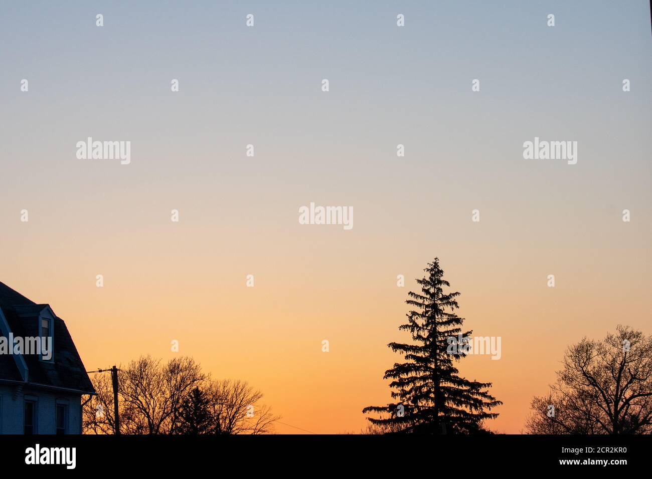 A Dramatic and Clear Orange and Blue Sky With Silhouetted Trees at the ...