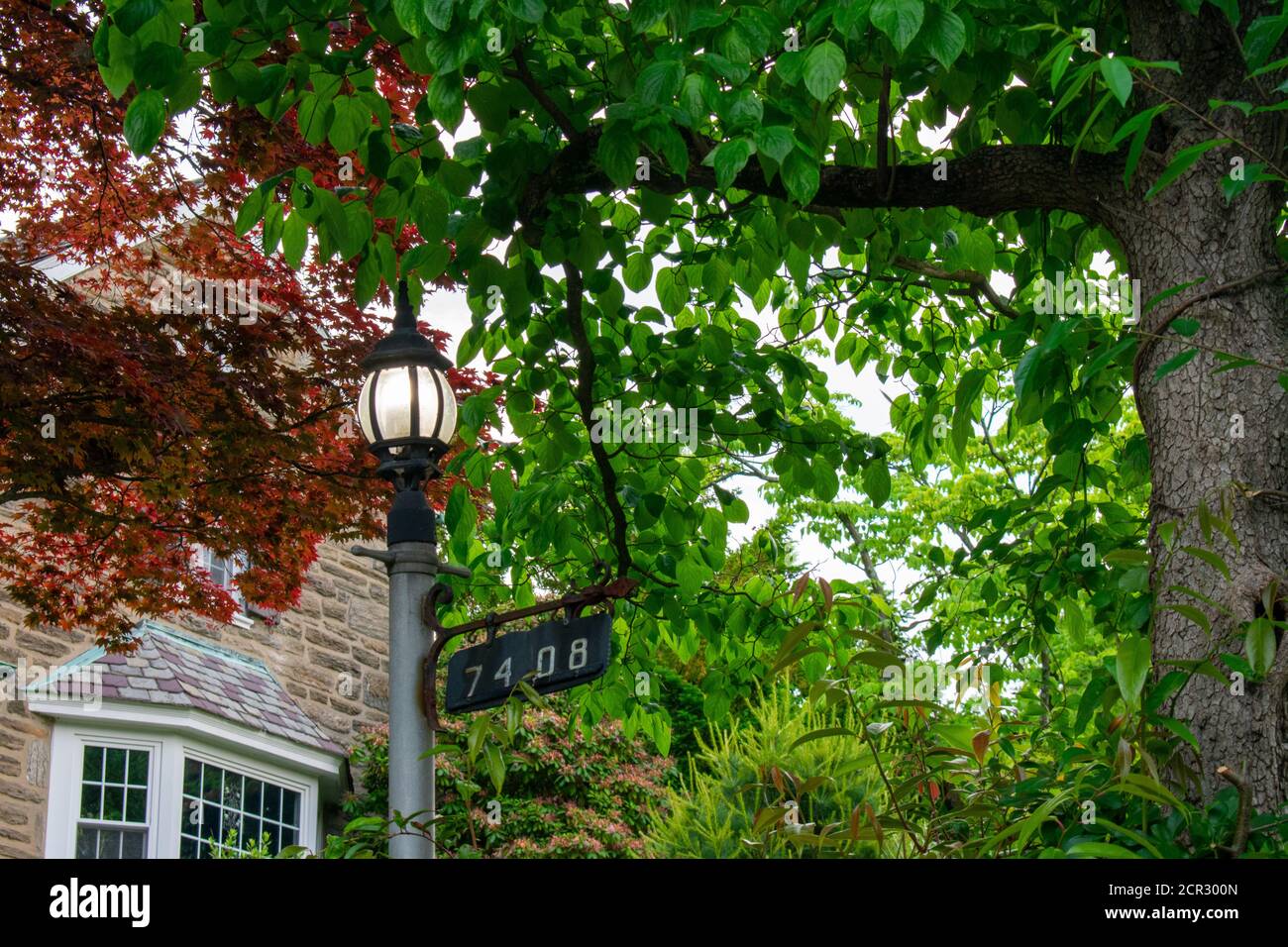 An Old Fashioned Black Metal Light Post Turned on Surrounded by Trees and Foliage Stock Photo