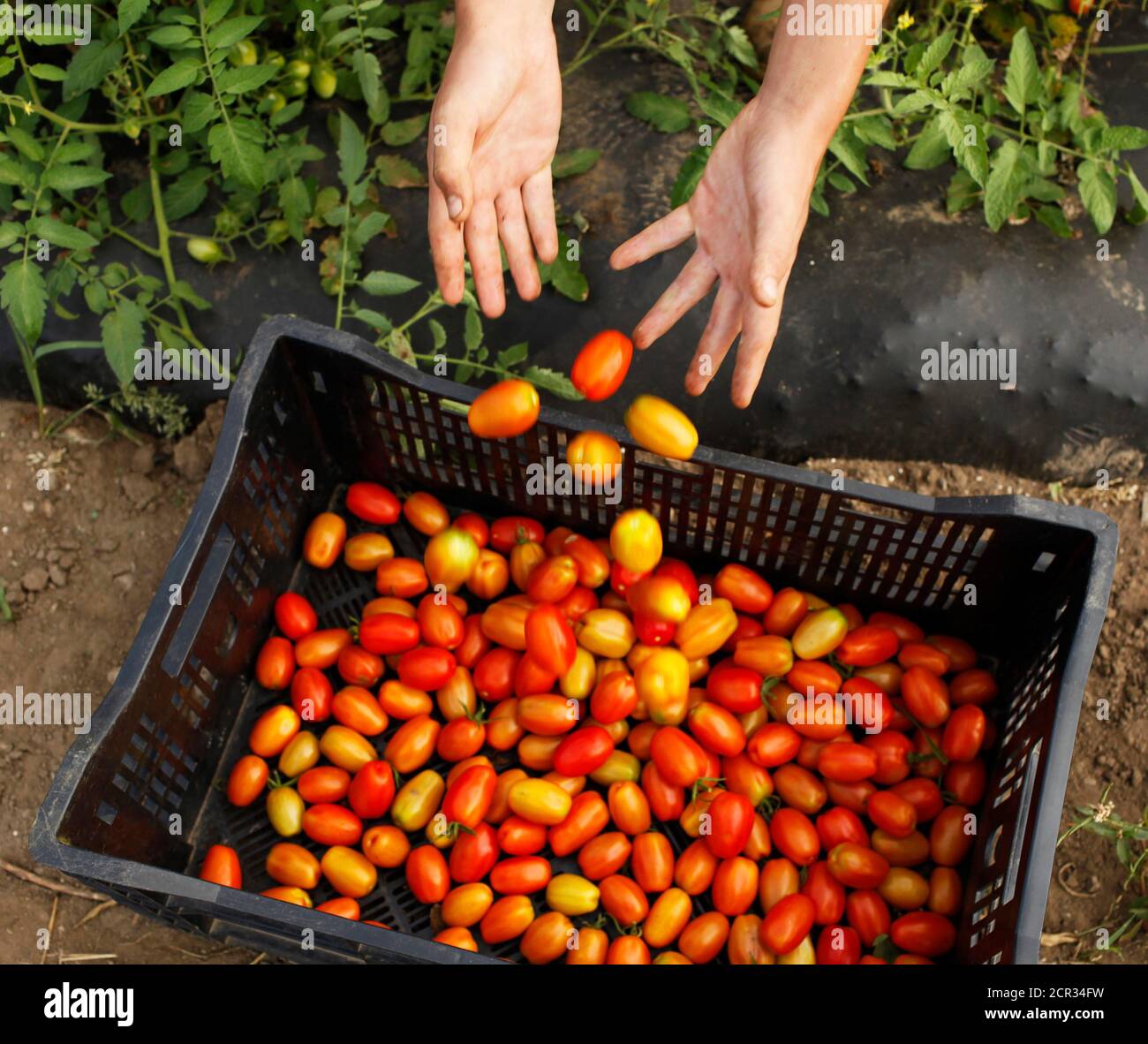 Pay upfront hires stock photography and images Alamy