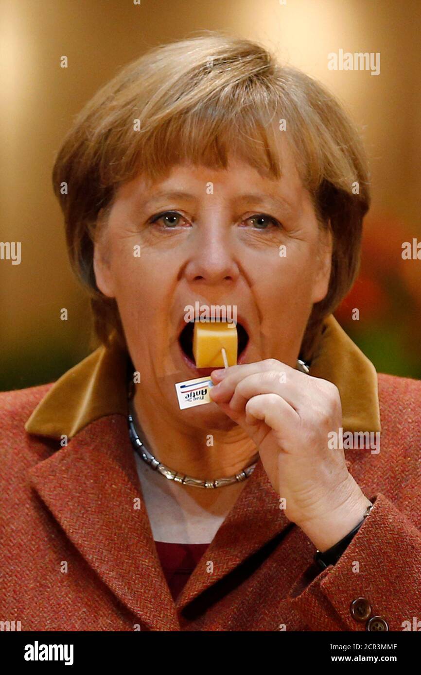 German Chancellor Angela Merkel samples cheese at the pavilion of the Netherlands at the Green Week agricultural fair in Berlin, January 18, 2013. The Netherlands are the partner nation of the Green Week this year.  REUTERS/Thomas Peter  (GERMANY - Tags: POLITICS AGRICULTURE) Stock Photo