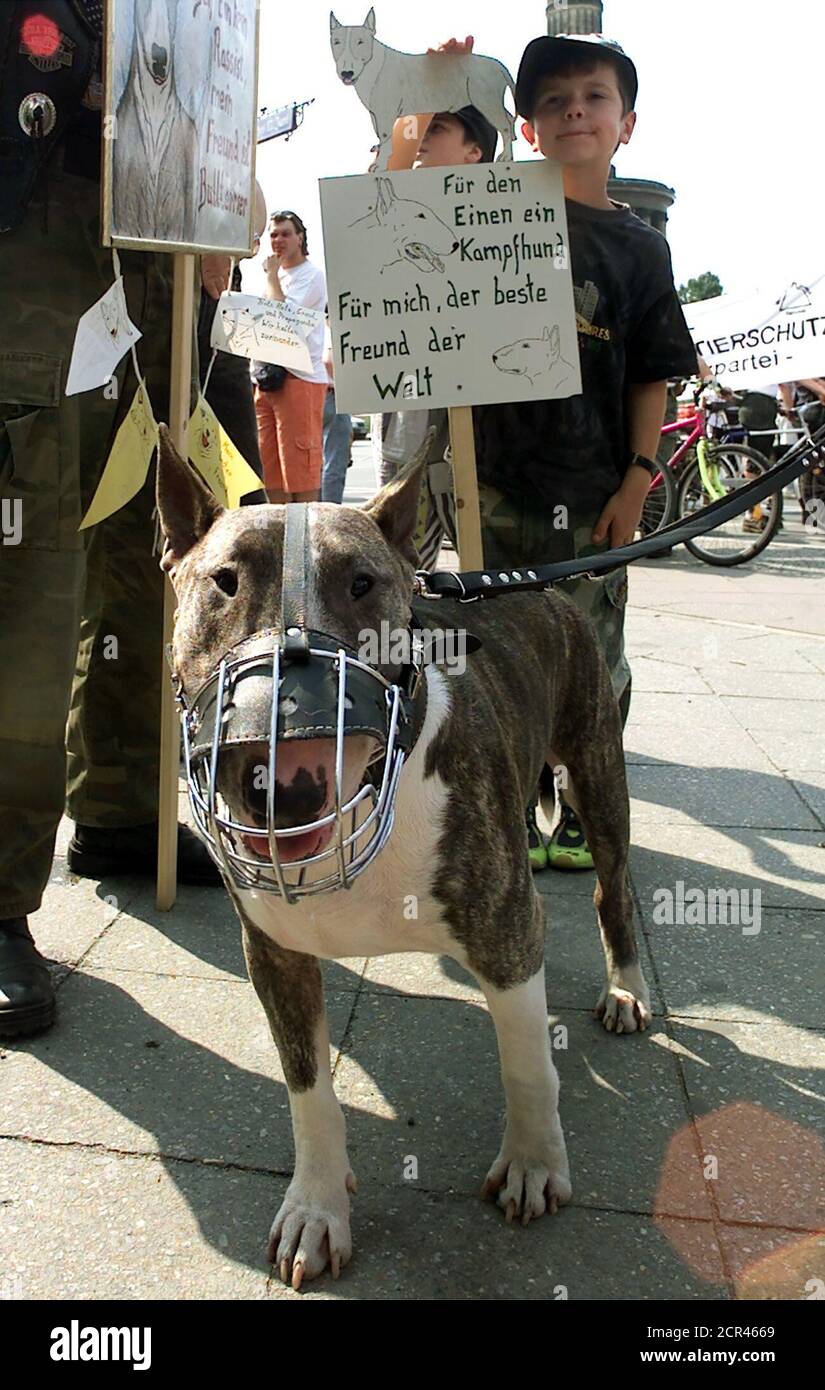vicious looking dog muzzle
