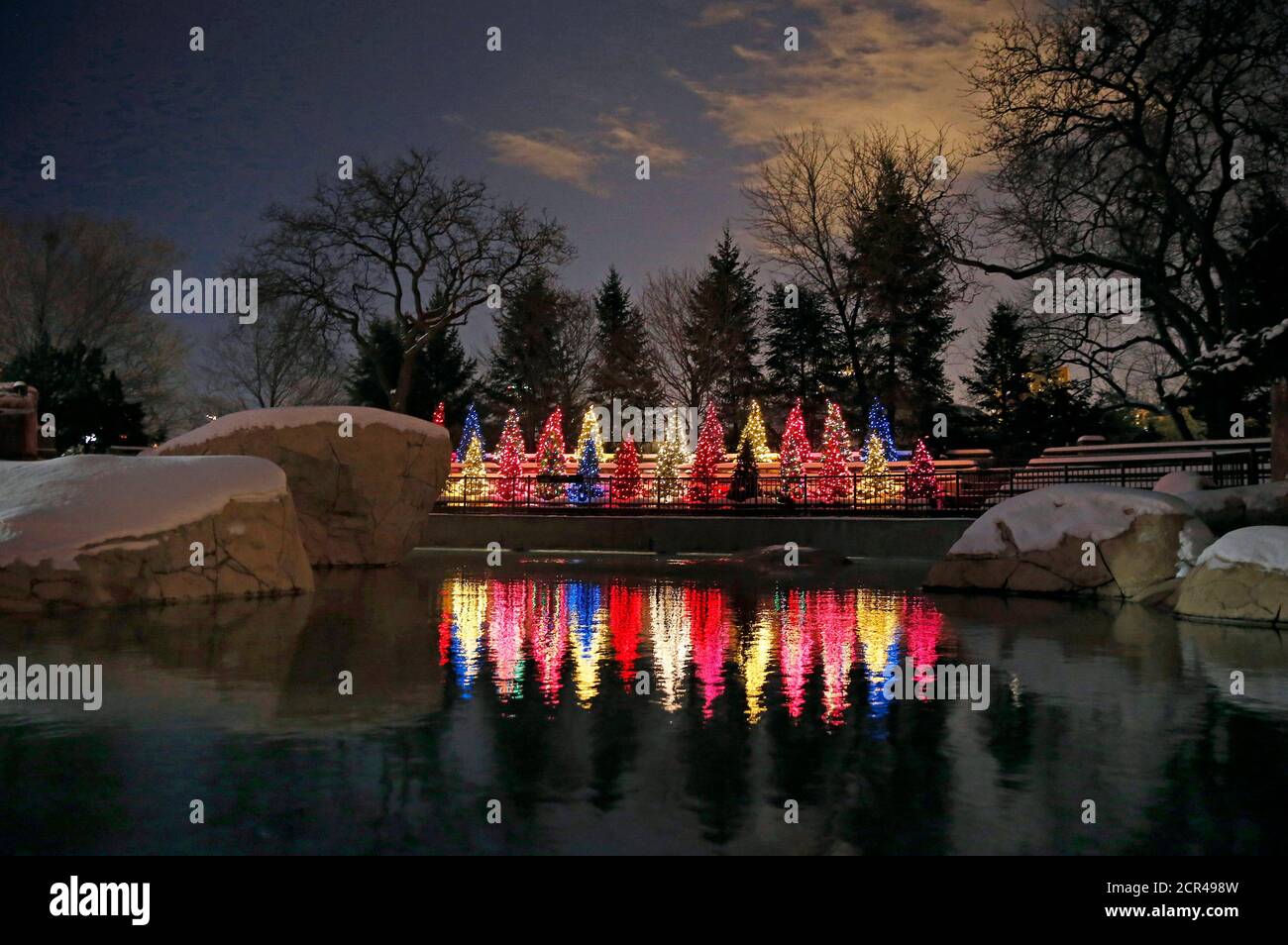 Illuminated Christmas trees are seen at the holiday lights display