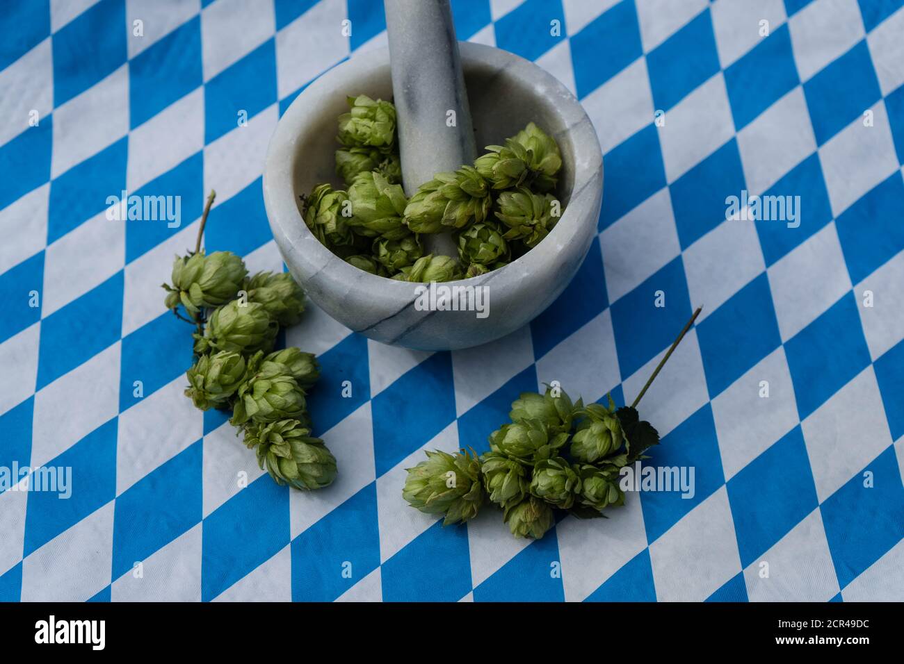 Fresh green hops a component for brewing beer Stock Photo Alamy
