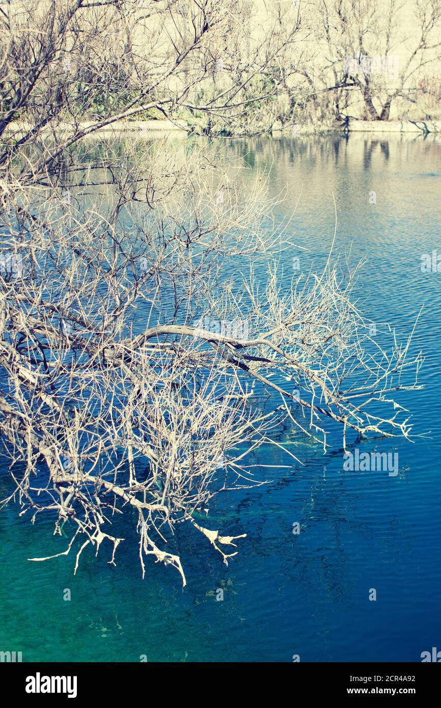 Barren tree branches hi-res stock photography and images - Alamy