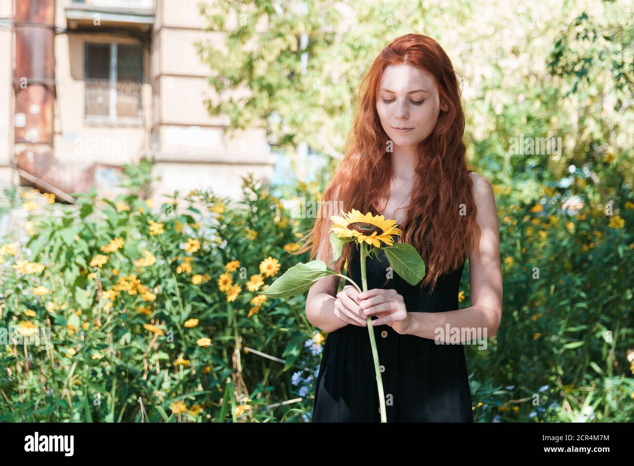 Ginger girl look at sunflower. Spring mood. Portrait of woman with nordic appearance Stock Photo