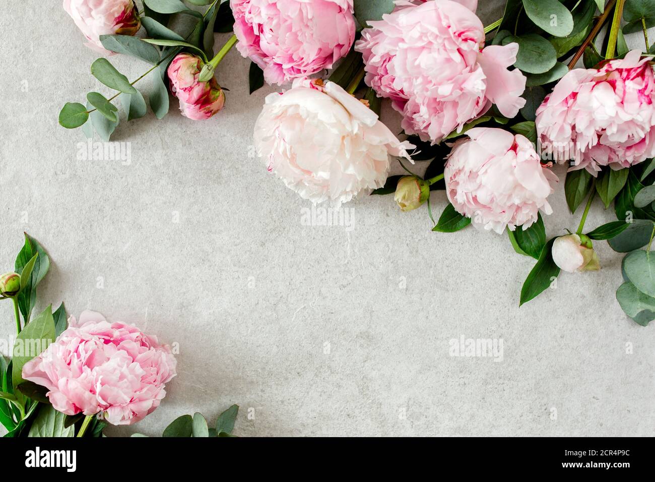 Frame made of pink peonies flower on gray background. Flat lay, top ...