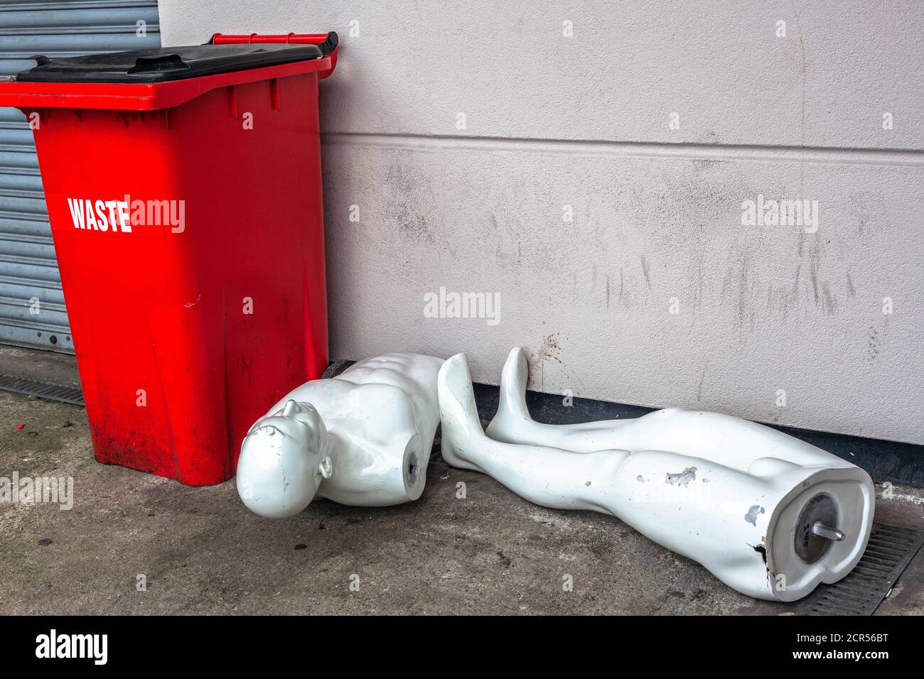 A male mannequin body parts beside a red waste bin. Stock Photo