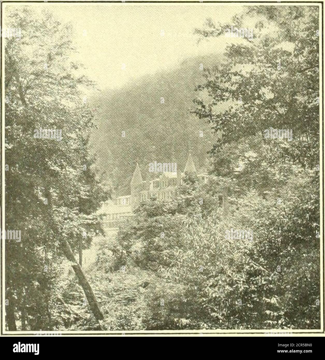 . Book of the Royal blue . MARKLETON SAN.4T0RItI. MARKLETON, PA ...