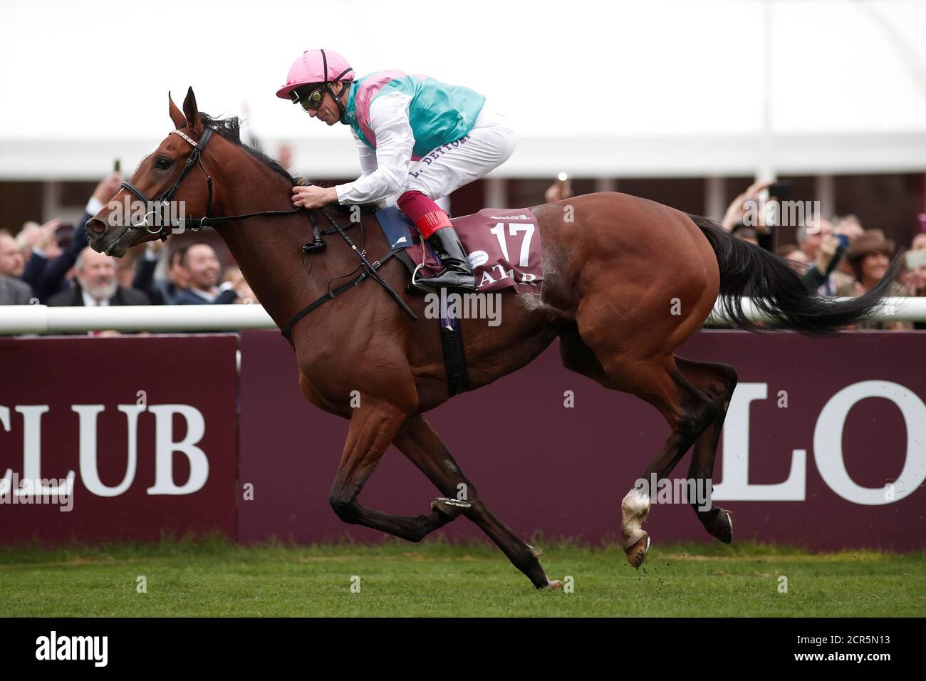 Enable Horse L arc Hi res Stock Photography And Images Alamy enable-horse-l-arc-hi-res-stock-photography-and-images-alamy