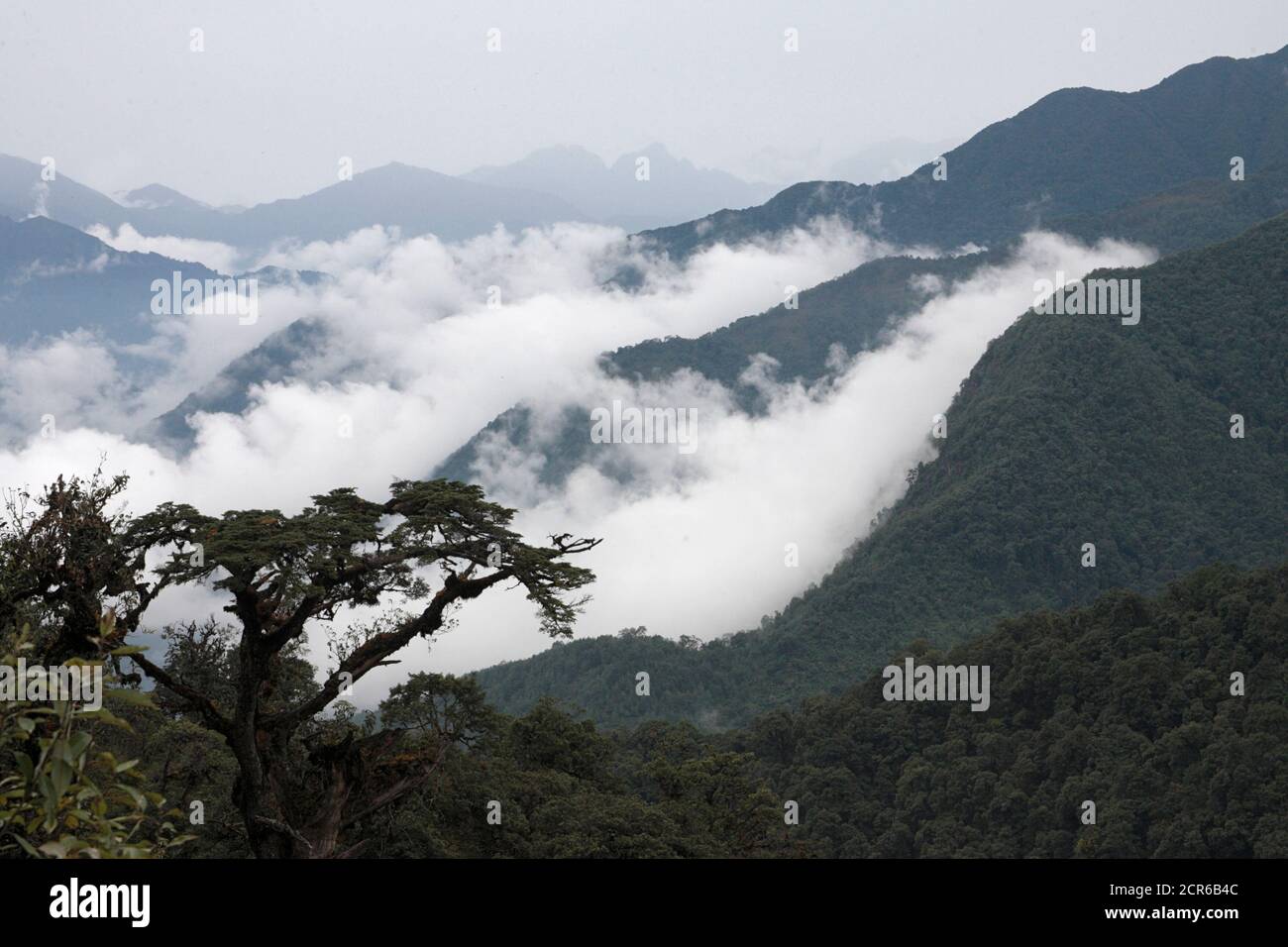 Imaw Bum, a mountain in Kachin State, Burma,  viewed from Pianma Pass, Yunnan, China 4th October 2009 Stock Photo