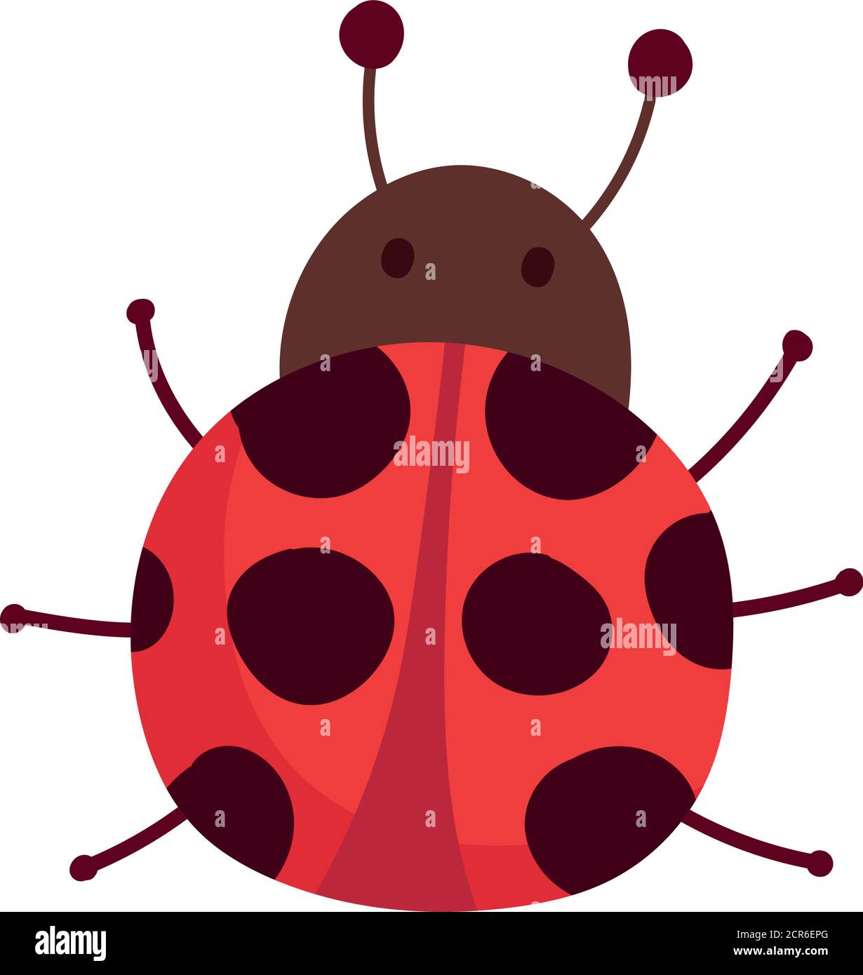 ladybug animal insect cartoon isolated design white background vector ...