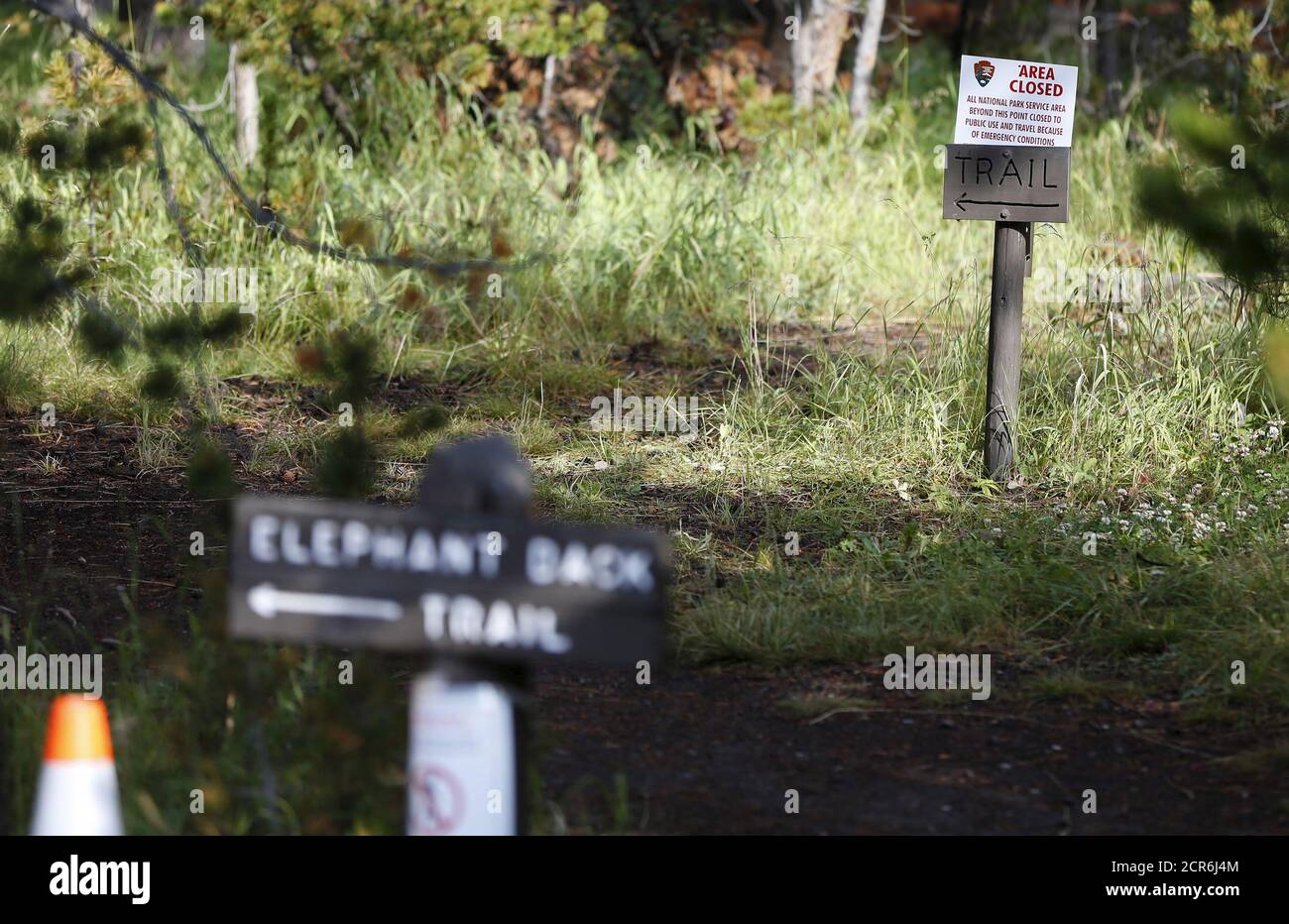 elephant back loop trail