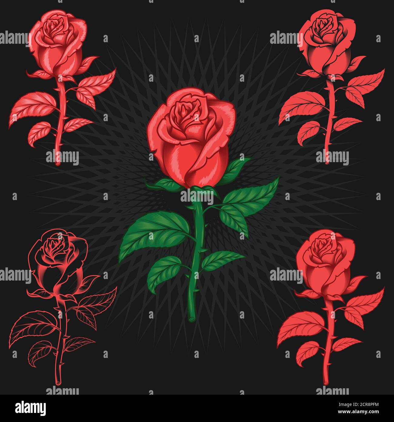 Vector art of rose with thorn with five color styles and lines Stock