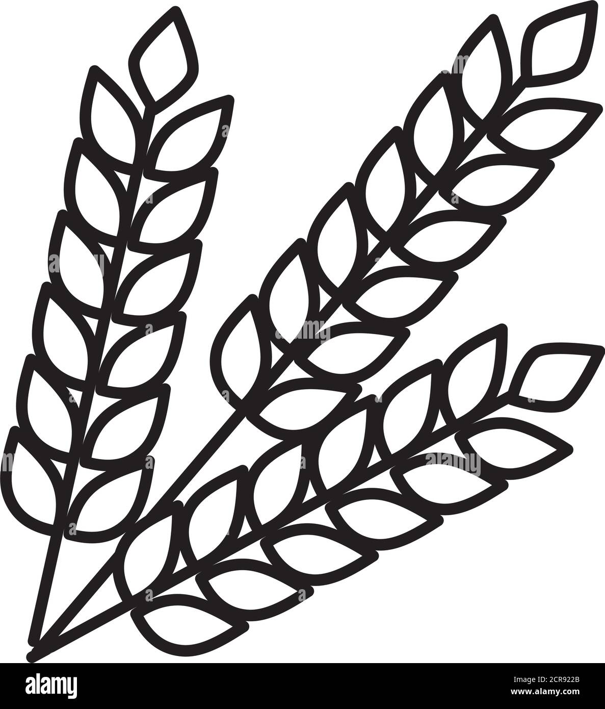 wheat ears icon over white background, line style, vector illustration ...