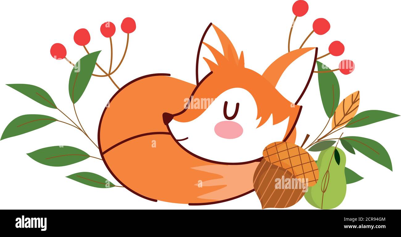 hello autumn, sleeping fox acorn flowers leaves foliage vector ...